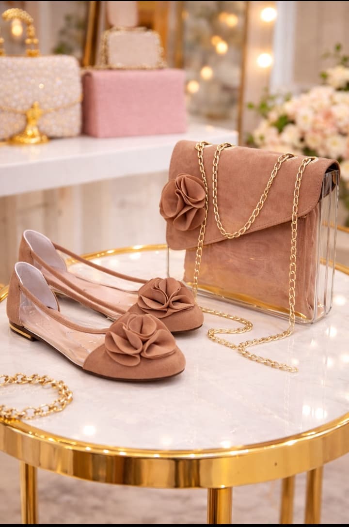 Ballerine transparente et sac